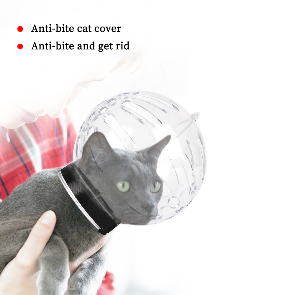 Title 4, Accessoires pour chats masque de toilettage Ant...