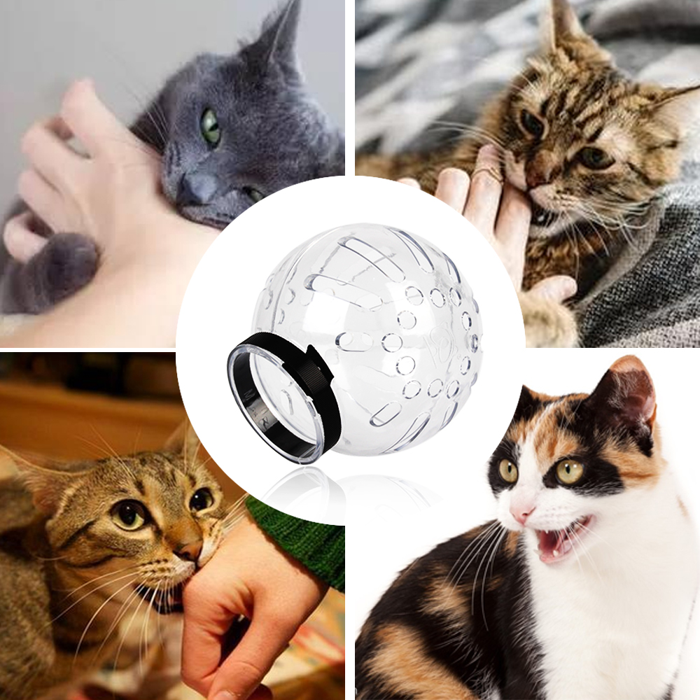 Title 3, Accessoires pour chats masque de toilettage Ant...