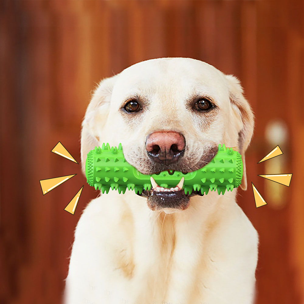 Title 11, Jouet à mâcher Durable pour chien, soins dentai...