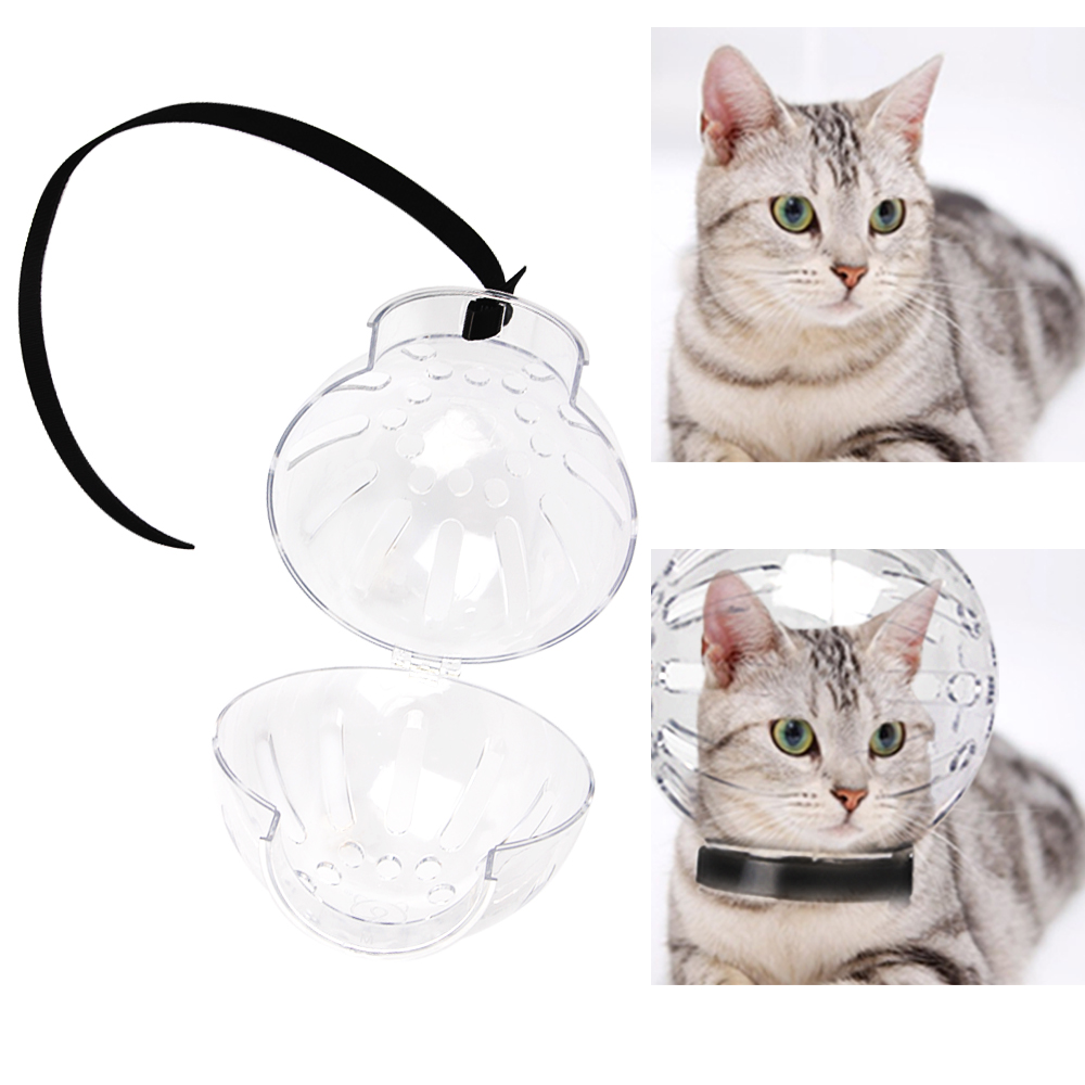 Title 10, Accessoires pour chats masque de toilettage Ant...