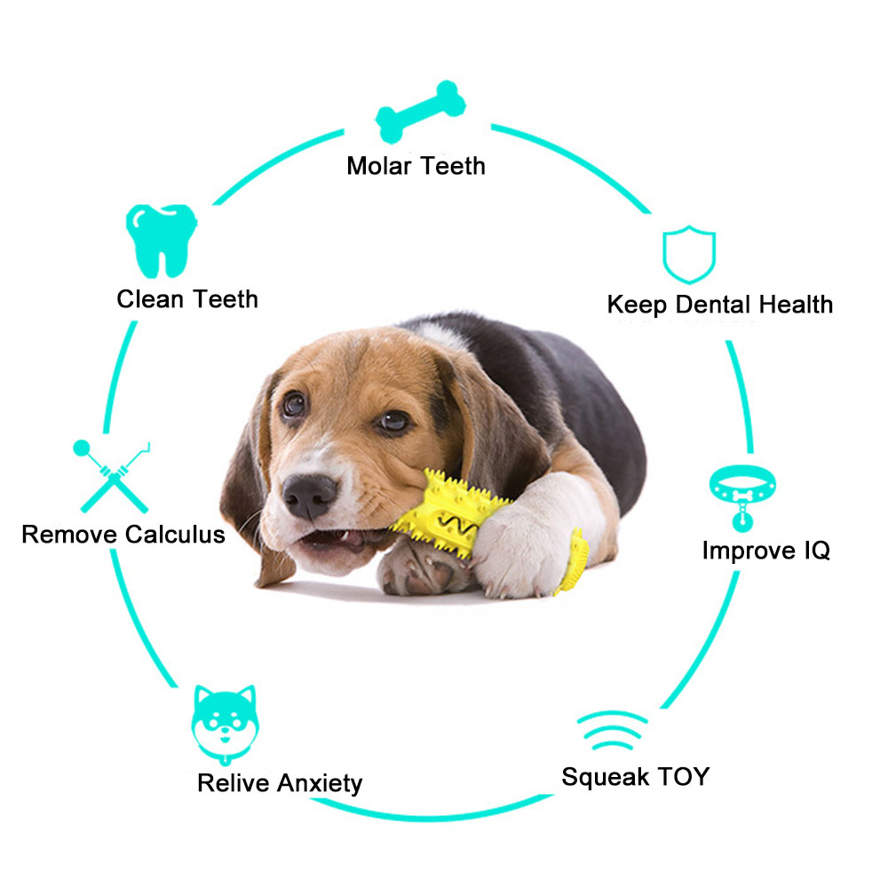 Title 4, Jouet à mâcher Durable pour chien, soins dentai...