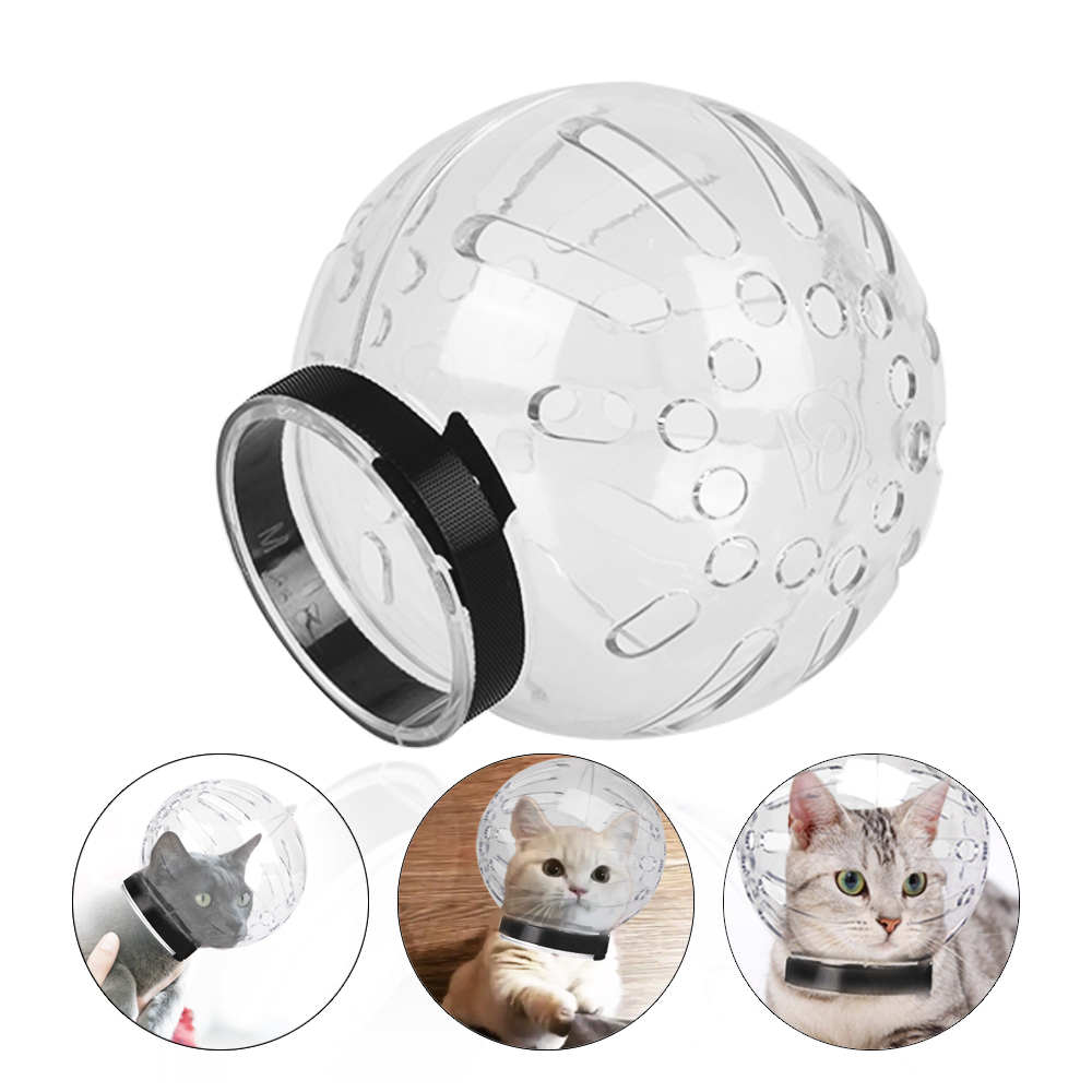 Title 12, Accessoires pour chats masque de toilettage Ant...