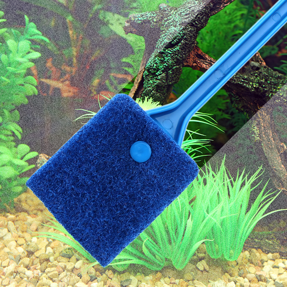 Title 7, Brosses en verre pour Aquarium, brosse Double f...