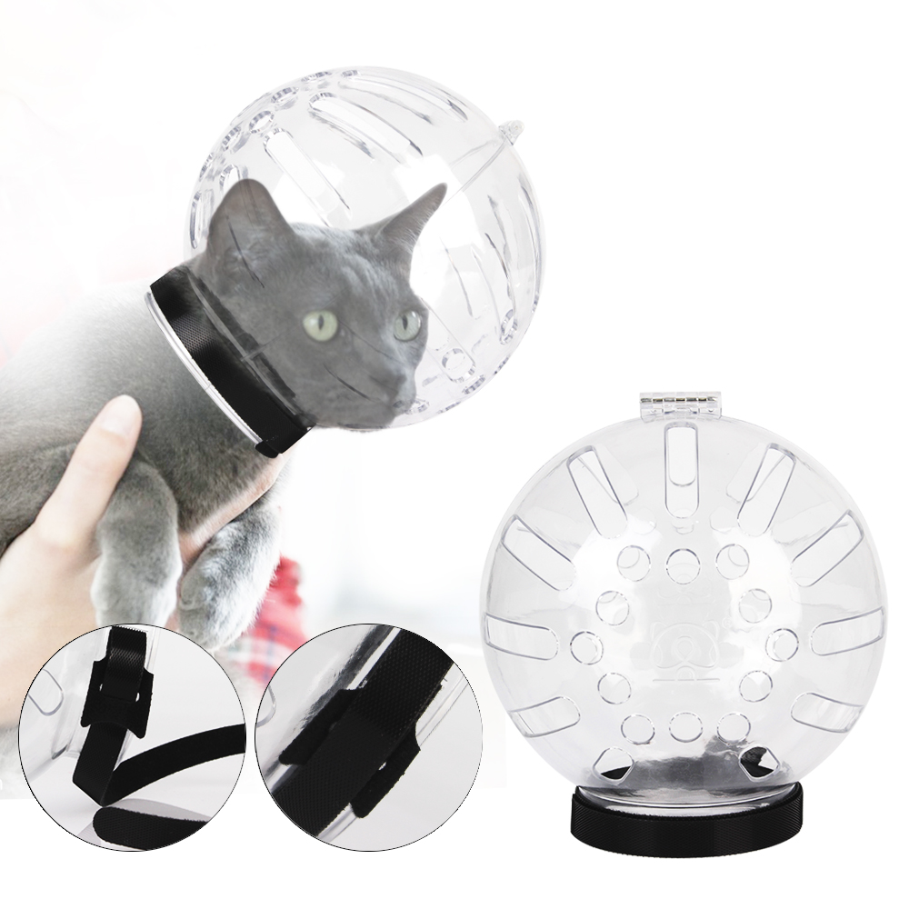 Title 11, Accessoires pour chats masque de toilettage Ant...